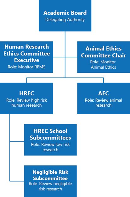 REQUIREMENTS FOR RESEARCH ETHICS REVIEW Chair .